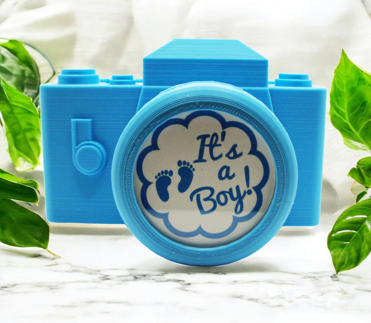 A unique planter and round photo frame combination in the shape of a blue camera.