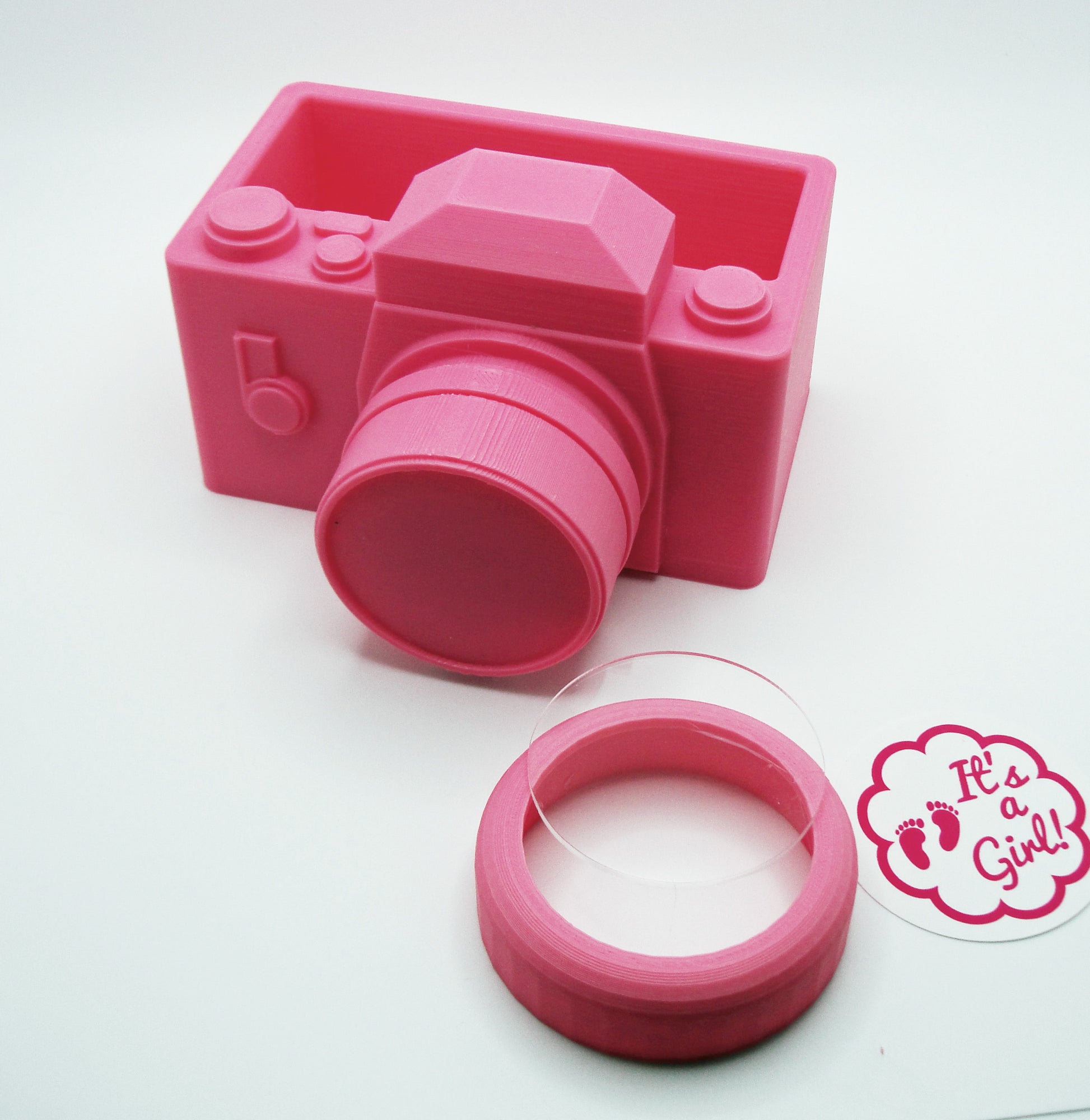 A unique planter and round photo frame combination in the shape of a pink camera.