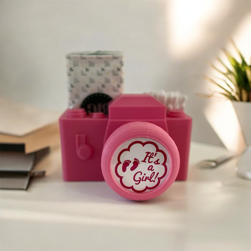 A unique planter and round photo frame combination in the shape of a pink camera.